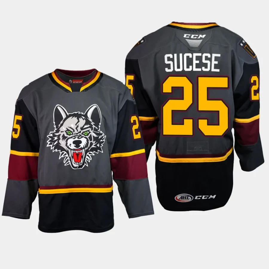 nate sucese chicago wolves grey 2023 24ahl storm alternate 30th season jersey